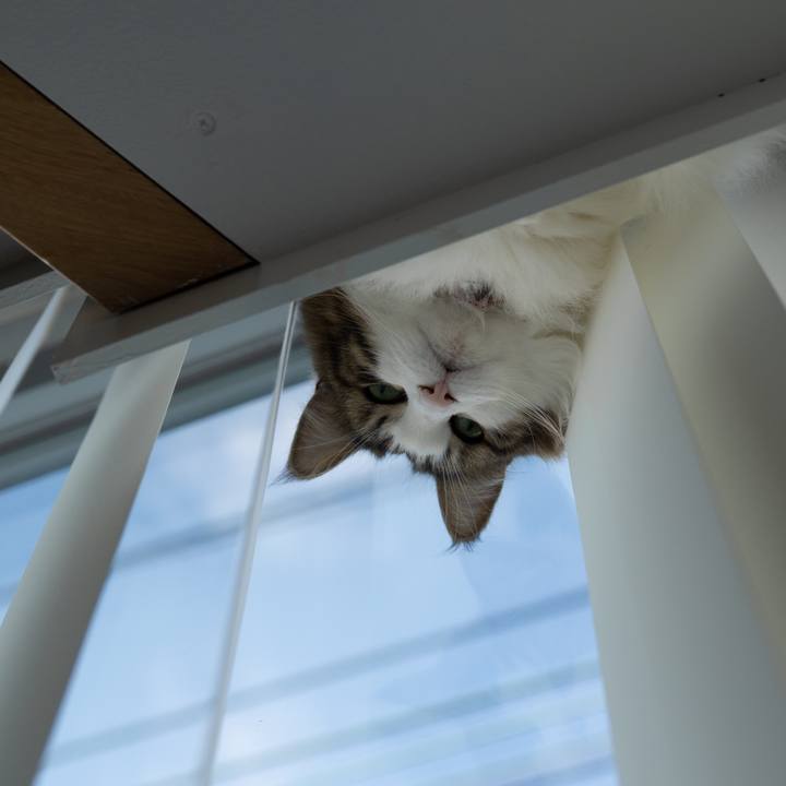 0769ea43 4ba1 4b84 8e16 10b2ddae865f 1644058976536