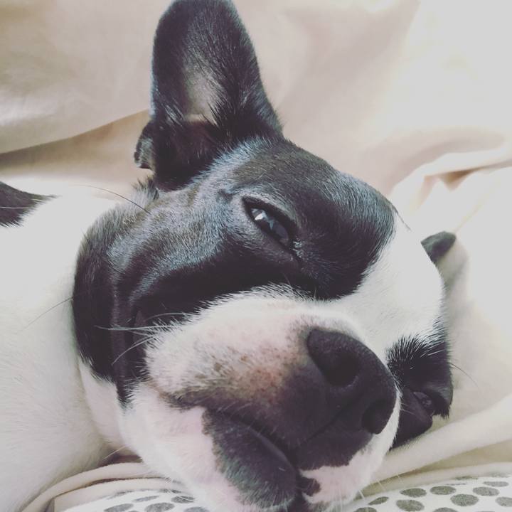 076a31fe 84ef 4b79 990d 9e303f7b140a 1532857375771