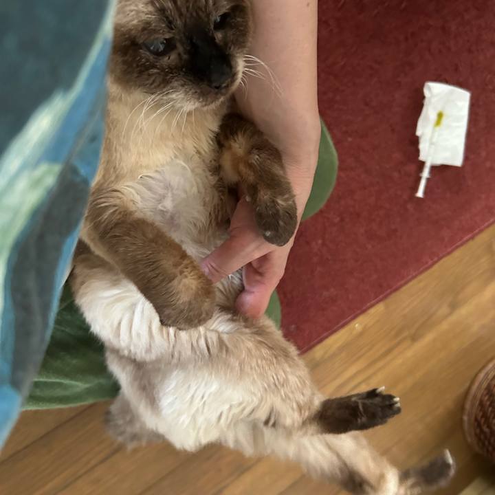 076a395b 2049 4073 a497 9c8bd0de27a3 1718410435841