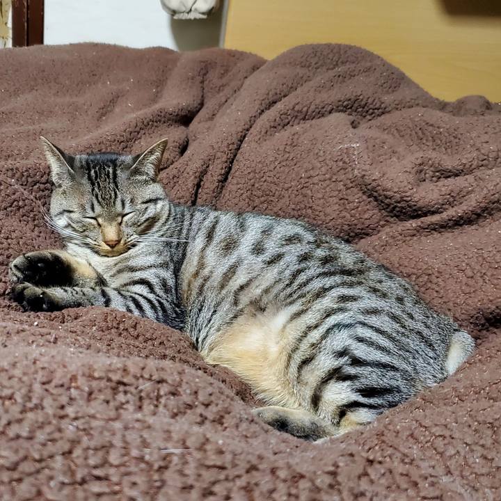 076a611a e569 4305 bd11 0c6d3d5b62c1 1702470511183