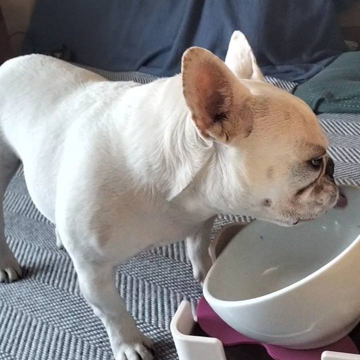 076a6ba8 d218 4253 952d cfb0ae678d44 1682246820331