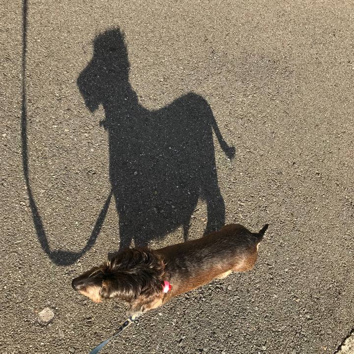 076a6bf6 6ecc 4501 8dca 54b1d78736ef 1542671545415