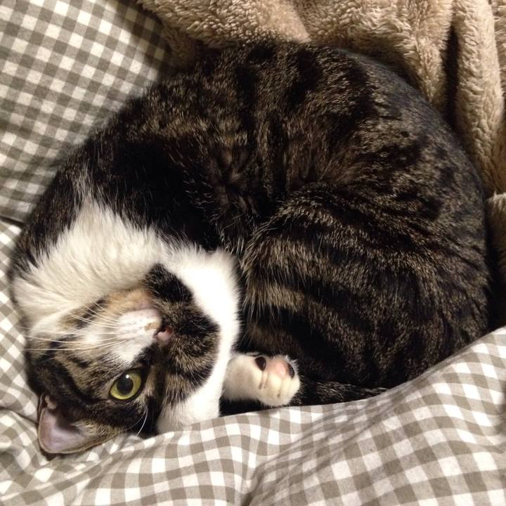 076a7d0a 8372 434e 9fcd da9021d0f93c 1512297275103