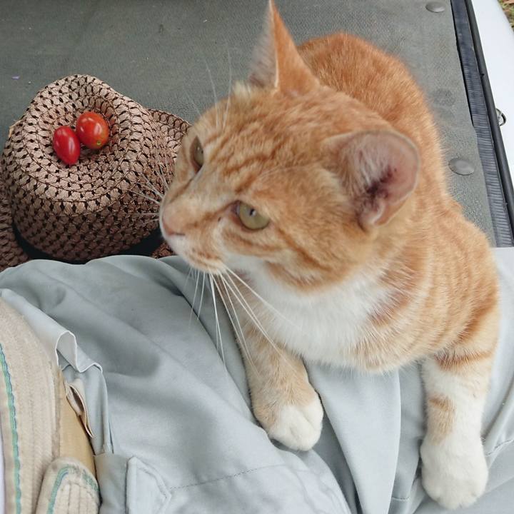 076a91a6 7dcb 47a9 b92e 552ad1ca2c36 1593936237199