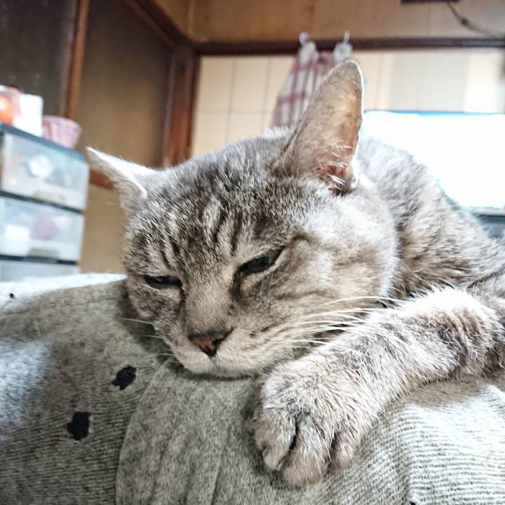 076ab003 b8c0 49f6 a028 7160aed6163f 1575455691201