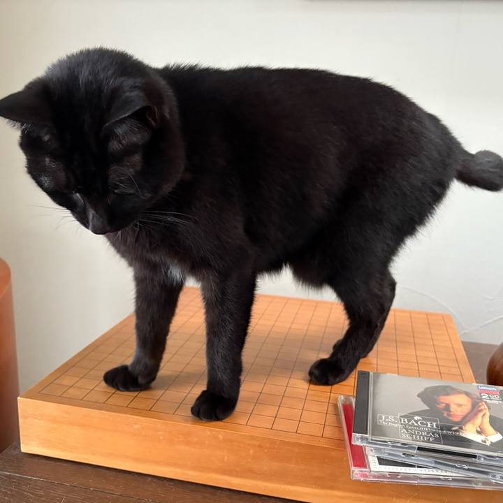 076ace80 8e63 447e 8cc6 8fba13e4887d 1761298496510