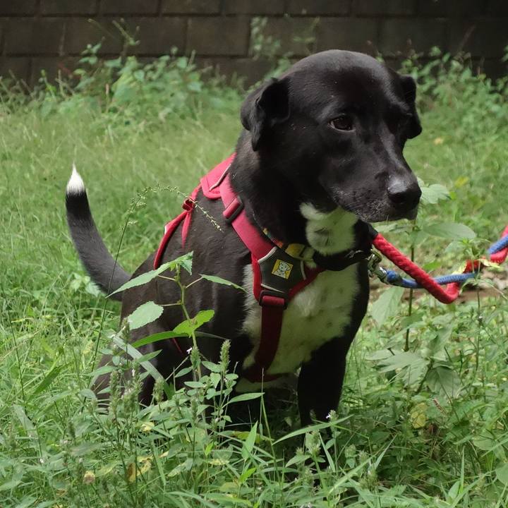 076afb81 2830 4321 a29f 8d5e7482881c 1602027795943