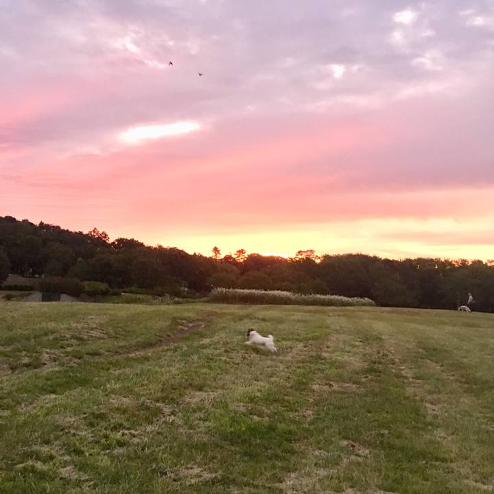 076b0e4d bb23 415a a8ad e1584a98c9b8 1508796233973