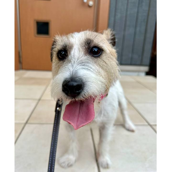 076b0fcf f274 4e74 92dc eab5a9c784f5 1753188705448