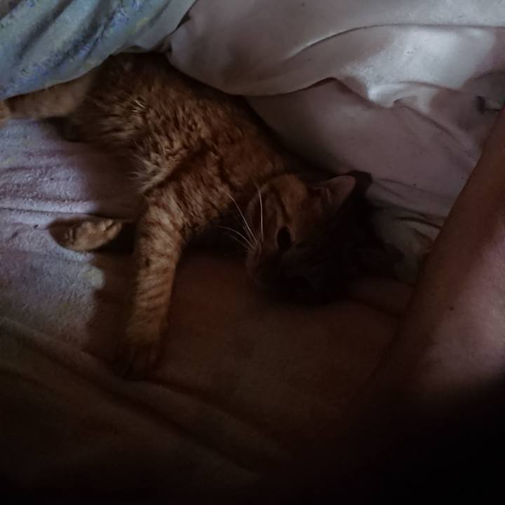 076b4f2d d193 4f70 914e ad8df9d7a359 1658871604008