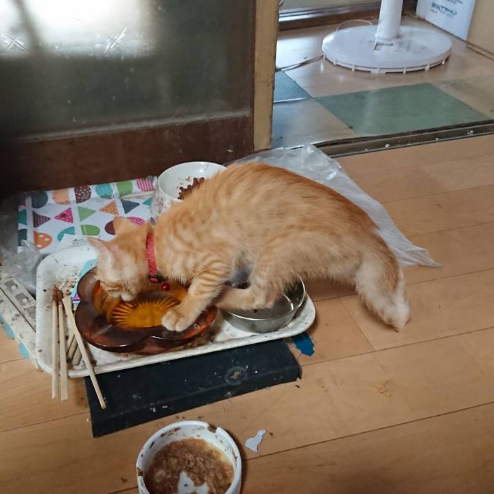 076b5113 b230 481c 9285 c28d6e207f9e 1630190007574