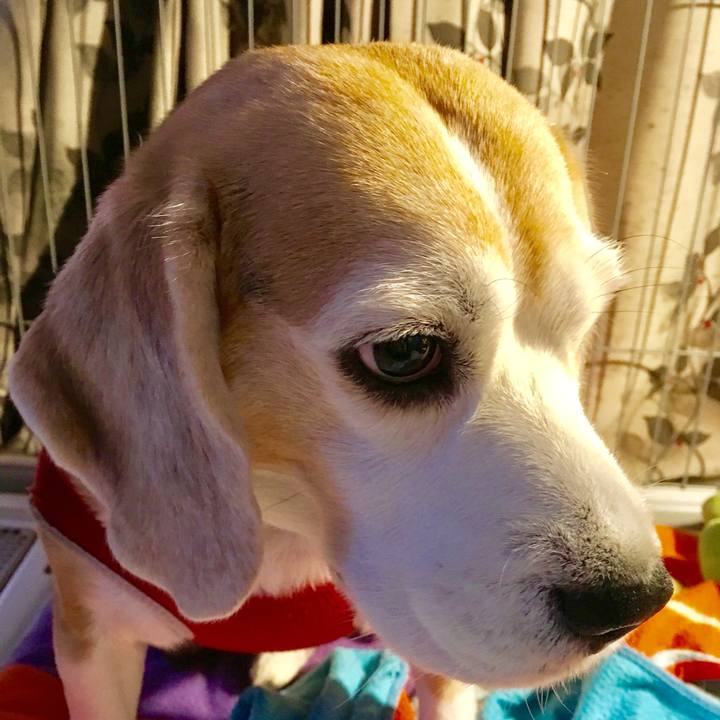 076b5bcb 2841 441b 9c0b 7434c3293401 1733011304311