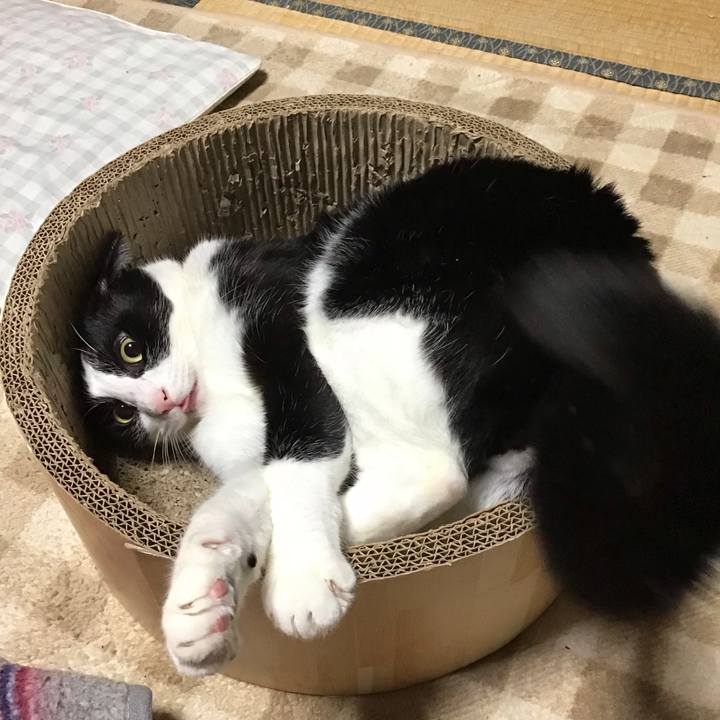 076b6f53 a9a4 4100 85d3 37f387367223 1730452655402