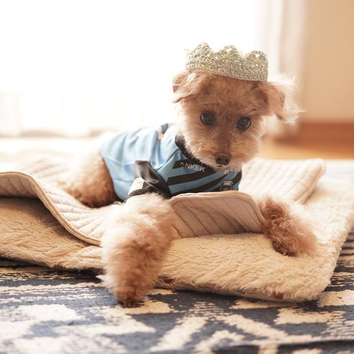 076b829f 1d9f 4f07 94cb cbcf71683e6c 1699879753932