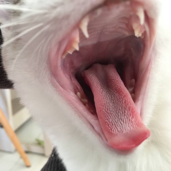 076b95cd 19ba 4928 902f 04310ce24ce0 1510367693893