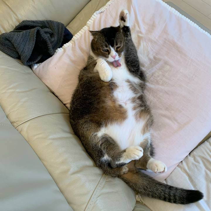 076ba18d 7b02 4ca4 b3ed 66fa40530e0b 1586232664581