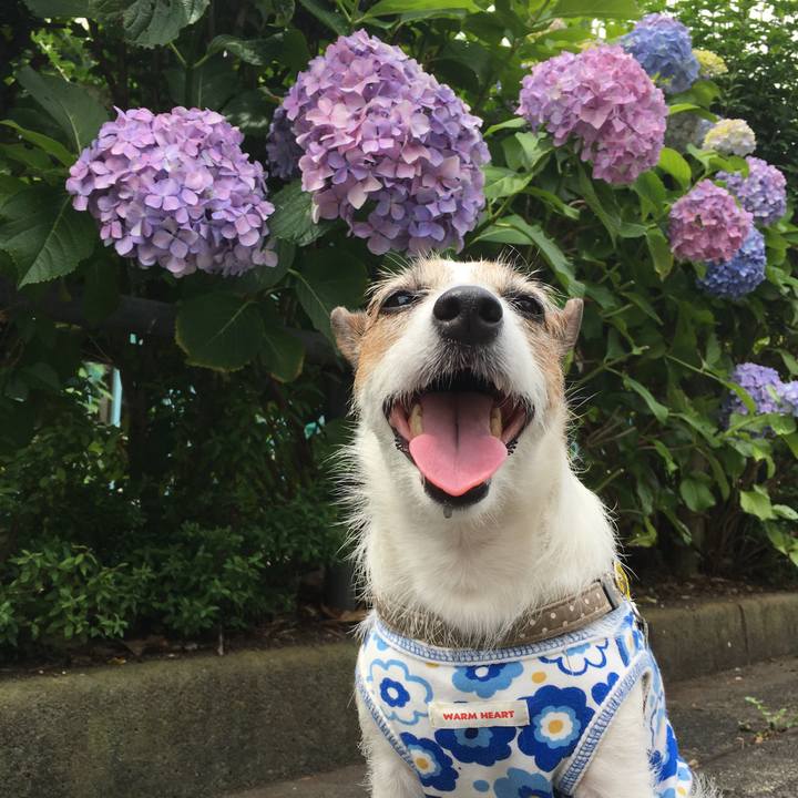 076bb976 220e 4e88 8029 fada245e1adf 1592437108569