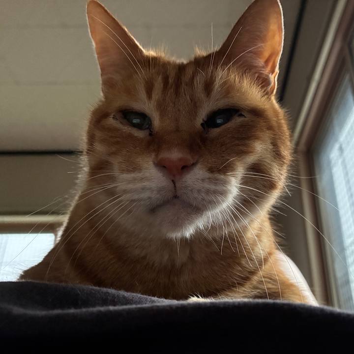 076bbda2 959a 44b1 bb78 96985d1fab05 1748983368294