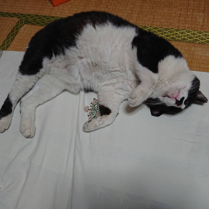 076c076e 8880 49a7 b14a 86b870e6fb61 1561269778867