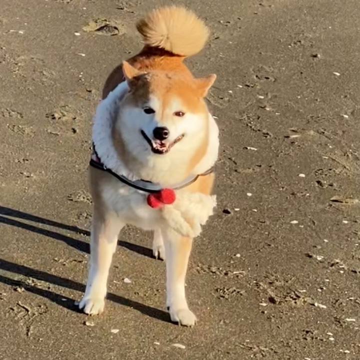 076c11a3 febc 4e76 9d27 f417bc8dcb6e 1645967384286