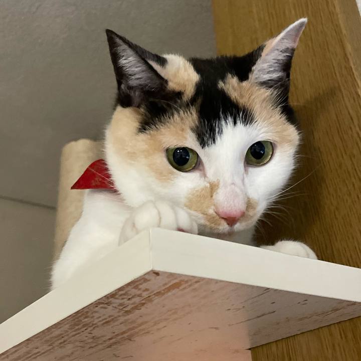 076c3b01 1b78 488c 842b 8528cd1de6f5 1709815275577