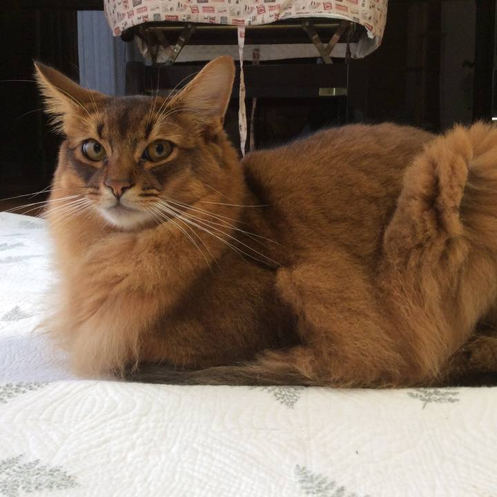 076c530b 1575 4fb0 998a 56c308b8268d 1603357121402