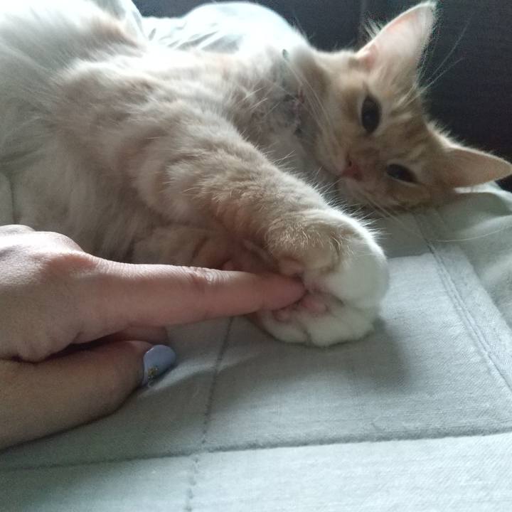 076c5414 faf8 45fd 8bf0 86f8f5e05da8 1631397713935