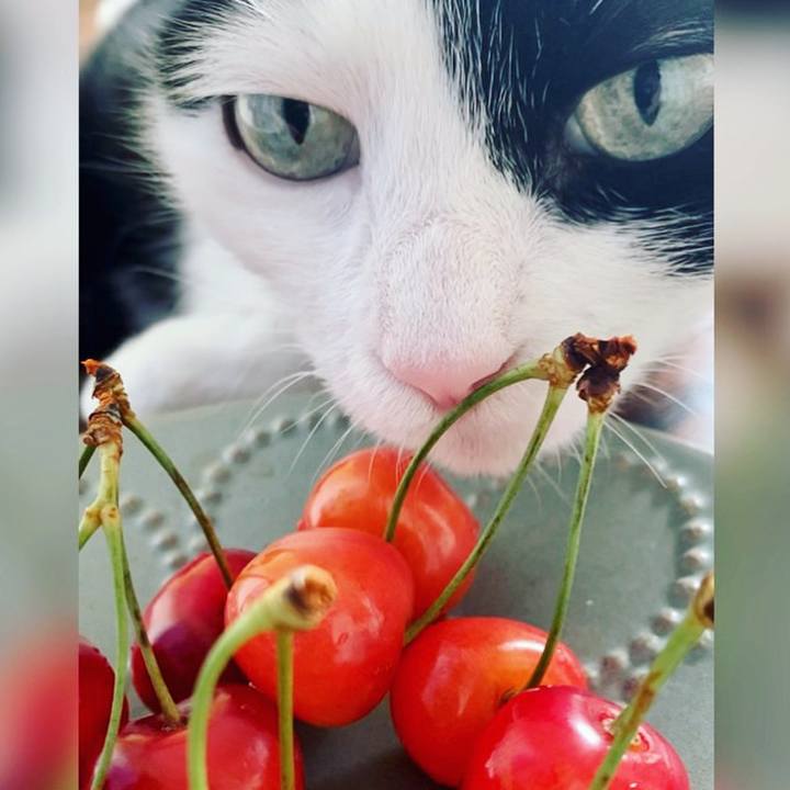 076c55be 3cbf 4d24 85b4 c5609ef5a3ef 1687232222179