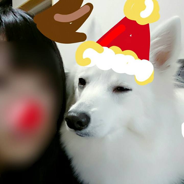 076c6e32 7134 4fed 9c71 d7bd1b38774f 1513231220491