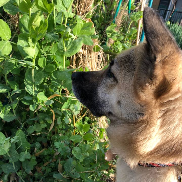 076c8875 1e12 4516 b2d5 4e4f266e8629 1521811788926