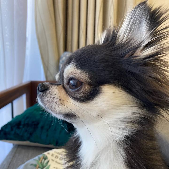 076cd315 1335 4014 a456 fd7b41e80121 1641703469196