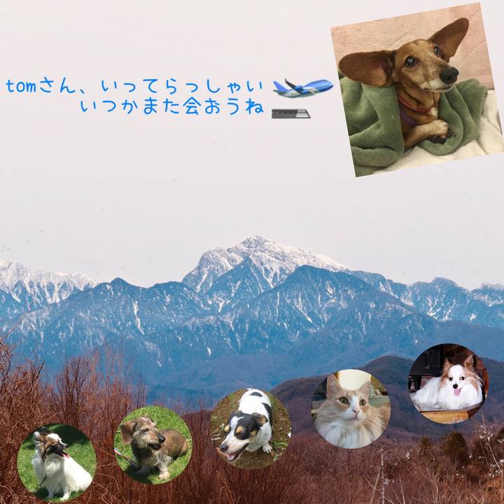 076cd5b7 b09c 4ac0 b91e 9bd692534880 1552209248298