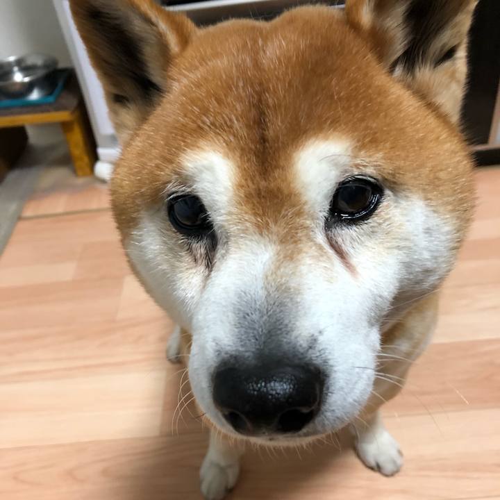 076cee6c 4a0c 4b87 9167 2d5ce06e08a9 1554974052086