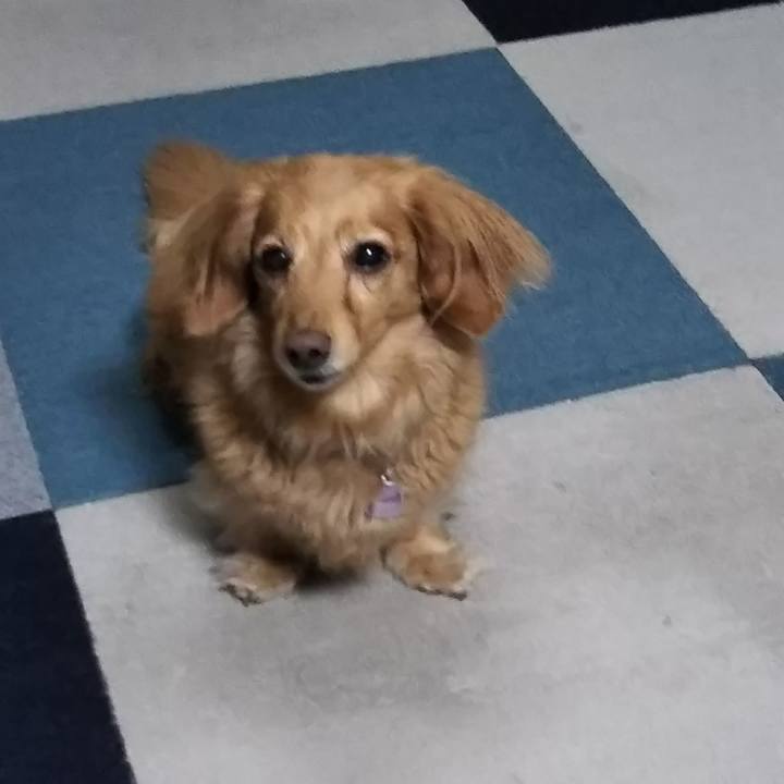 076d56bc 0c11 4494 8f76 0980a0e27592 1574759838149