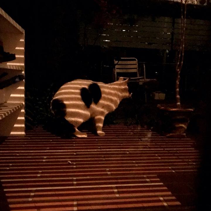 076d56ed 12ba 46e5 88d3 463e4d2545fa 1609059328709