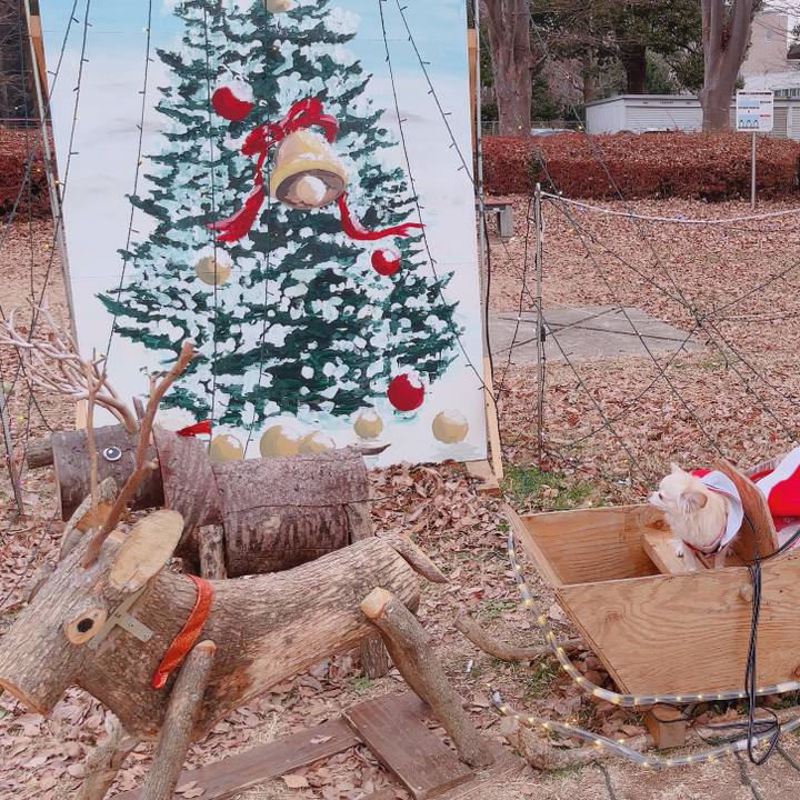 076d8034 9800 4afd 91b2 f15105b49c1e 1766286515873