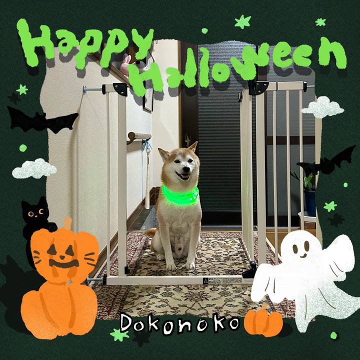 076d9b06 8a84 416c be6f 3884265898c1 1729248691298