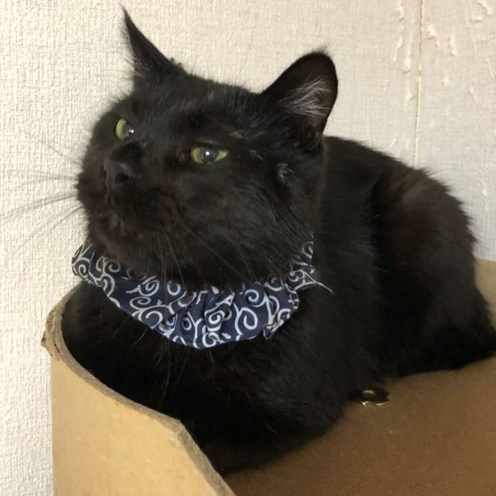 076dbab0 1ac7 403c ba17 8d33d3eaad57 1558704528859