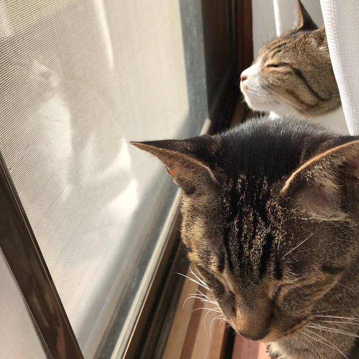 076dd2e9 403b 4f5e 89d4 052c7311d915 1516843996699