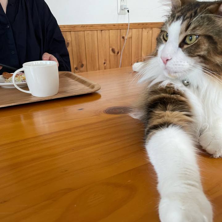 076dd99b 62b8 4b9d b7a1 a59a589a45c3 1654465705061