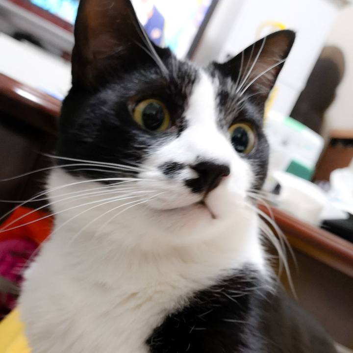 076ddd2a 29f8 4c45 bd13 0223a6aa95dd 1543374191565