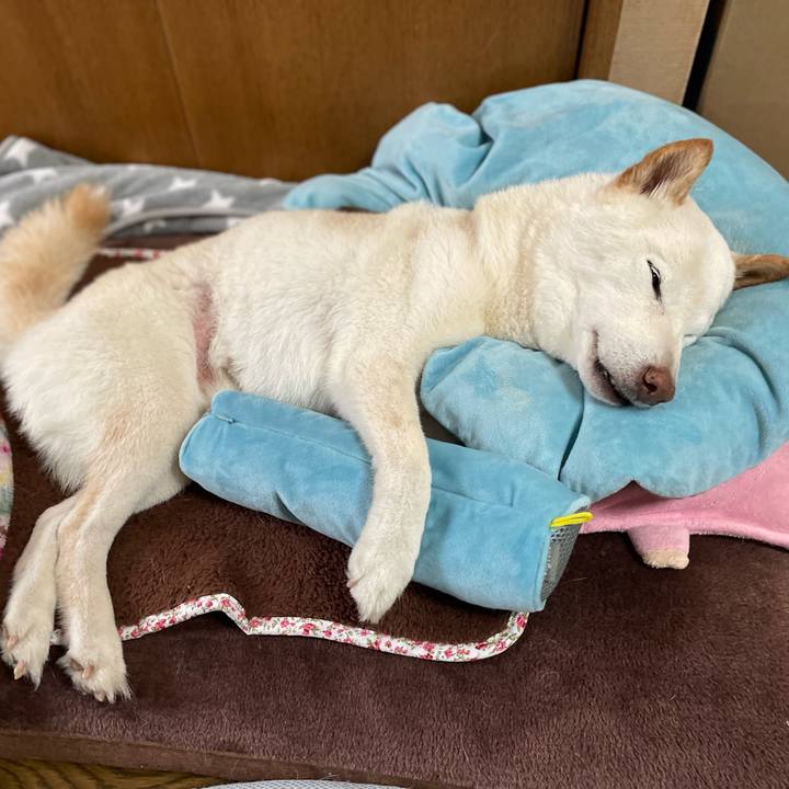 076dff33 68b1 4e24 bad8 c7e1a28ae4c9 1647501348939