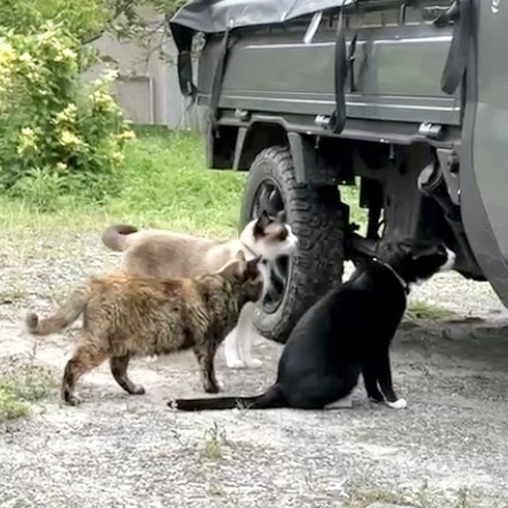 076e0614 6427 4fca 9dd0 1685f3453797 1734379567398