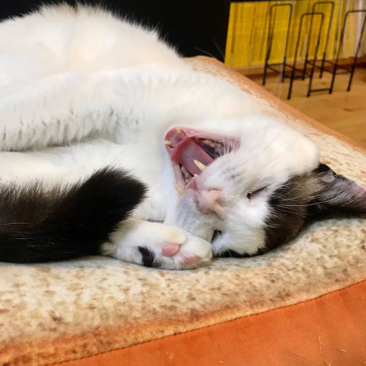 076e47af 41e4 4e9c aa36 cddfe9eecc80 1611711547988