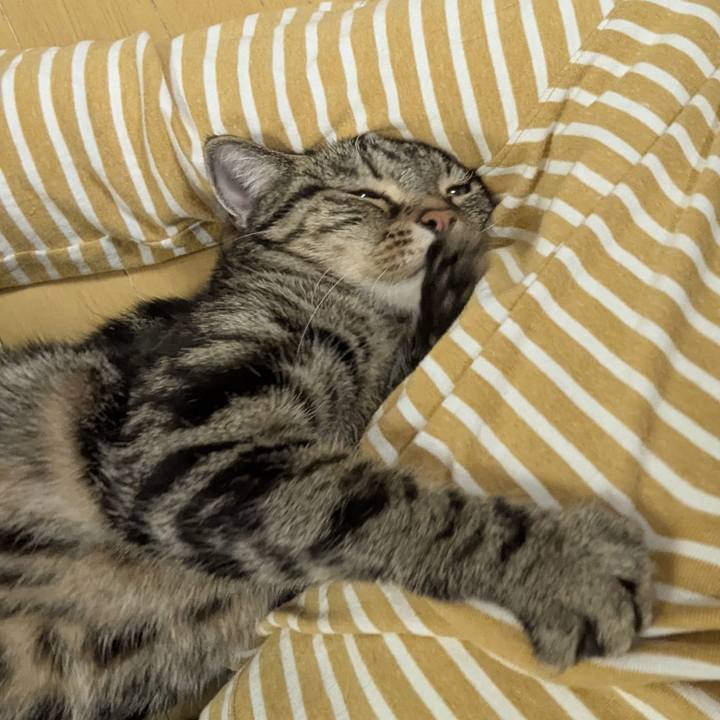 076e50b7 8203 4766 9dd8 1ecceafee710 1742036409978