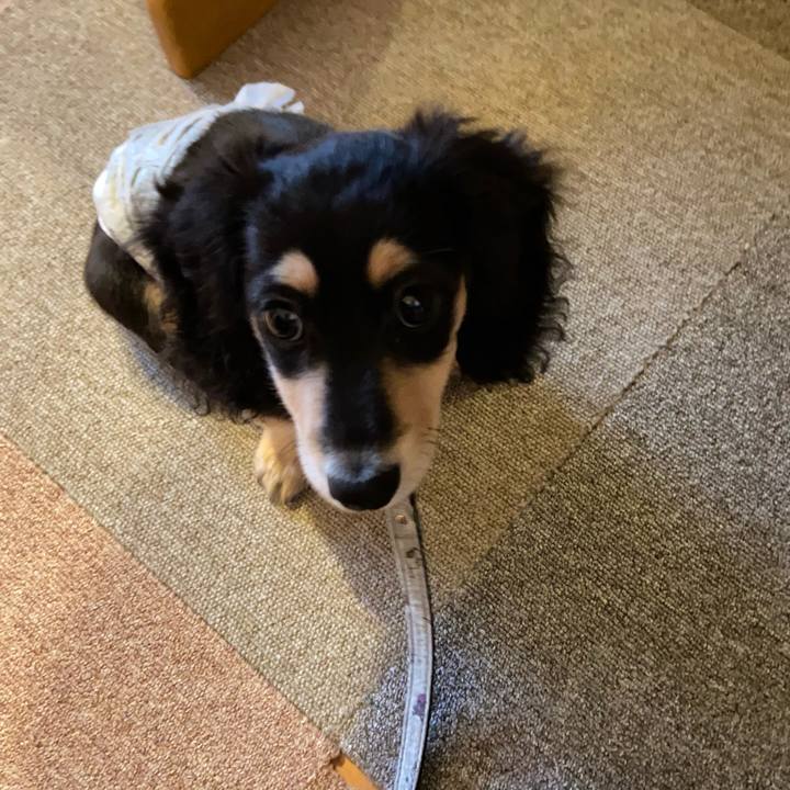 076e9b91 85d0 4535 b9e7 01b3df63619c 1667375507603