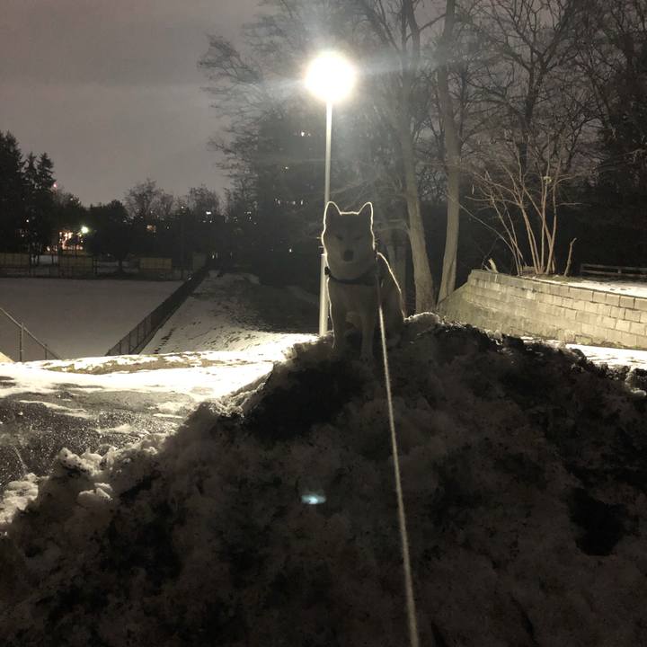 076ebefb 7200 4c66 9a36 245fdc080236 1575969126599