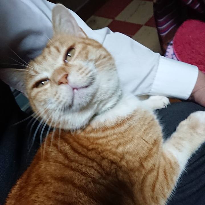 076efa42 09ad 44b0 af7e 1f47cff6feb6 1581069277143