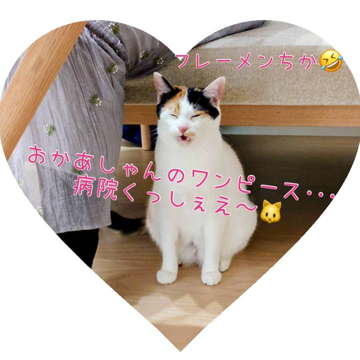 076f25ce abf7 4fd9 8f03 eb3bfa7dd830 1784966286787