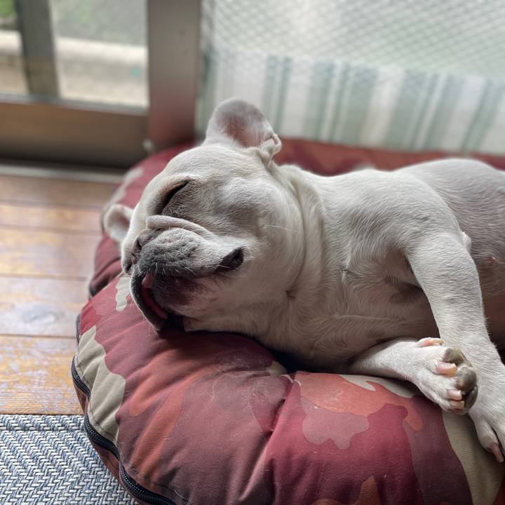 076fa825 c21c 449f 9481 6cc611b8e59a 1722589845168